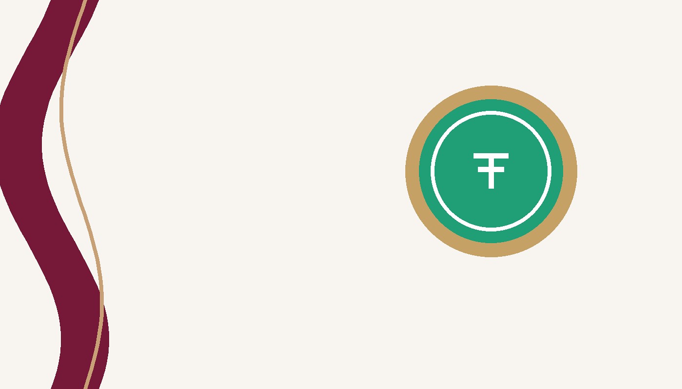 USDT Flash Software