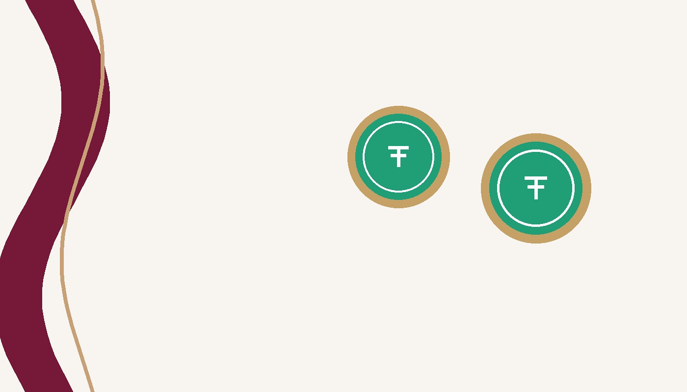 Flash USDT Generator
